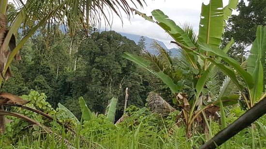 Da hinten sitzt einer...leider auch wieder weit weg