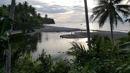 Im Fluss herrscht buntes Treiben...