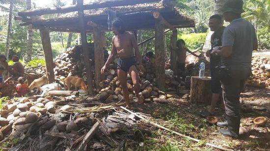 Da sind sie und ein riesiger Berg Kokosnüsse, die sie öffnen und das Fruchtfleisch herausholen müssen