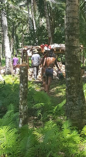 Hier kann man sehen, dass die Bambusringe auch als Halterung für die Waffen dienen