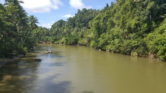 Wir sehen die Hütten der Tribe-Familie