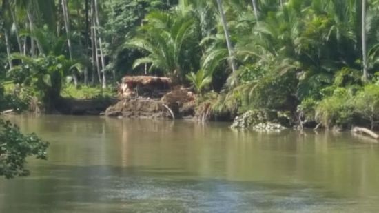 Dort leben sie...später habe ich erfahren, dass es nicht ihre Kinder-sondern ihre Geschwister sind um die sie sich kümmert, da ihre Eltern früh verstarben