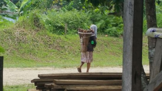 Wieder eine Frau die Ware in der Kiepe auf dem Rücken durch die Gegend trägt..