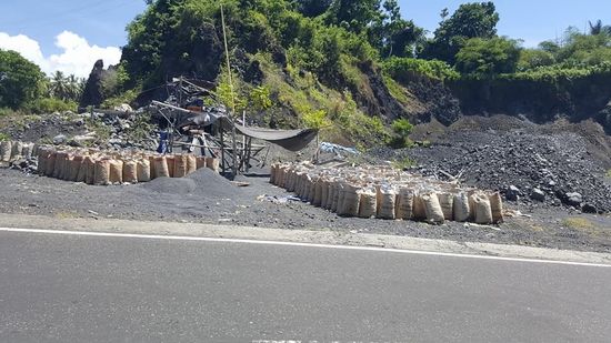 Es stehen viele abholbereit in Säcken..