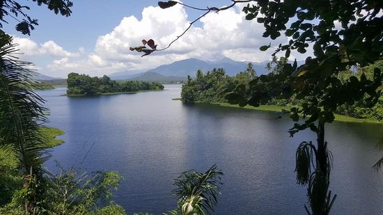 Ein toller Blick auf den 54.000ha großen See mit den großen Flächen der Wasserhyazinthen