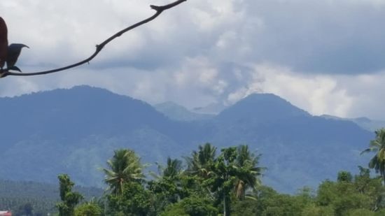Auch den Dukono sehen wir wieder ganz hinten. Hier essen wir gegrillten Süßwasserfisch