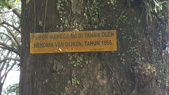 In diesem Ort hat auch der holländische Missionar Hendrik van Dijken gelebt.
Er war protestantischer Missionar und Gärtner und hat den Menschen hier das „farming“ beigebracht