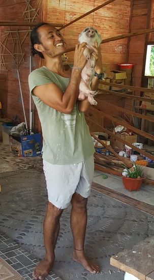 Jack, das Schwein ist das Maskottchen der Anlage