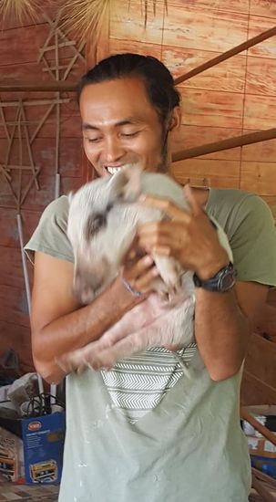 Ein Kuschelschwein...