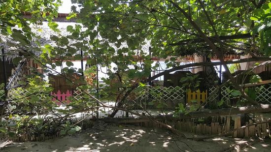 Die Gazebos sind von Palmen und Bäumen umgeben