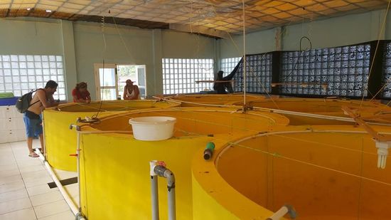 In einem Becken befinden sich noch Fische. Irgendeine teure Fischart..sonst ist alles leer. Sowie die ganze Anlage verlassen ist