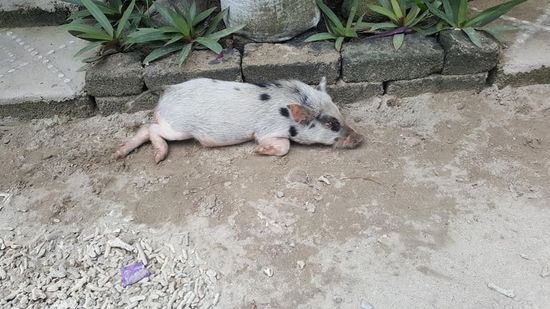 Dem gehts sooooo gut hier....