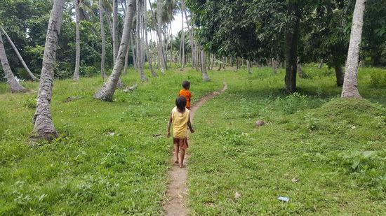 Der Weg ist gut erkennbar, nur unzählige Eidechsen kreuzen den Weg