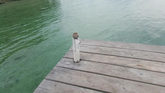 Iwan, ein junger Mann, der hier so eine Art „Mädchen für alles“ ist, zeigt mir aufgeregt ein Vogelnest auf dem Steg.