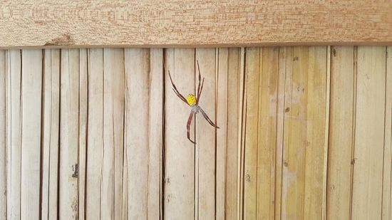 ...und entdecke diesen Bettnachbarn...