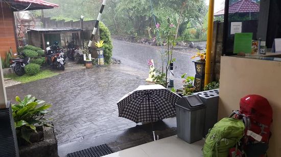 Die Rezeption des Resorts—es schüttet und schüttet...