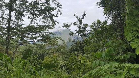 Das ist der Locon, mein Ziel für morgen