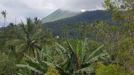 Noch mal ein Blick auf den Lokon...da gehts morgen hinauf...