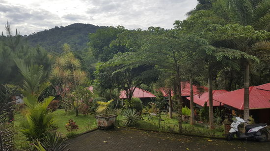 Mal ein Bild vom „Mountain view resort“