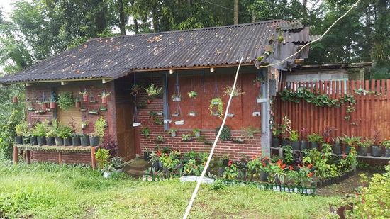 Auf dem Weg zum Resort steht dieses HAus. Auf den ersten Blick könnte man meinen, hier hängen Unmengen von Kameras—bzw Kamera-Attrappen