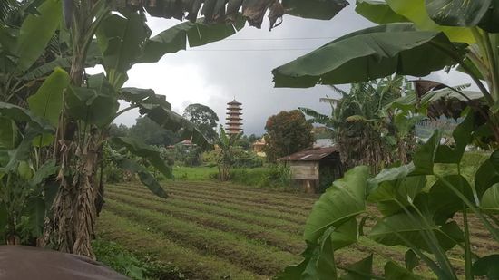 Der Tempel liegt etwas ausserhalb, im Grünen und darf für 10.000 IDR besichtigt werden