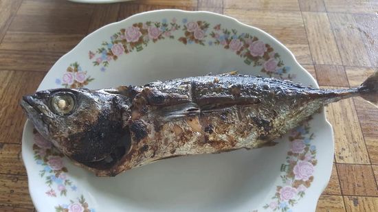 Ein leckerer Fisch soll es sein...