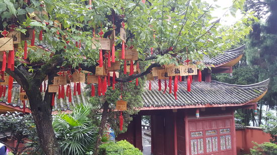 Einer der geschmückten Bäume vor dem Tempel