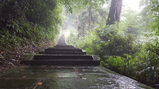 Die Stufen wollen einfach enden...