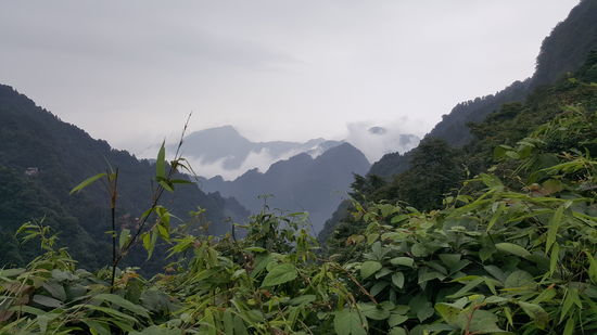 Obwohl es immerzu nieselt, ist der Ausblick hier genial