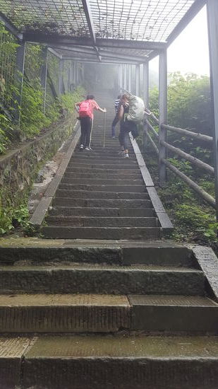 Hier werden wir vor Steinschlag durch den Käfig geschützt