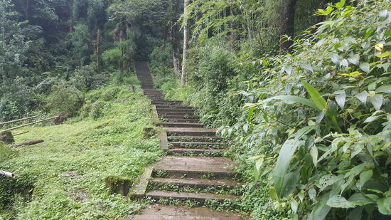 Und schon wieder so viele Treppen!!!