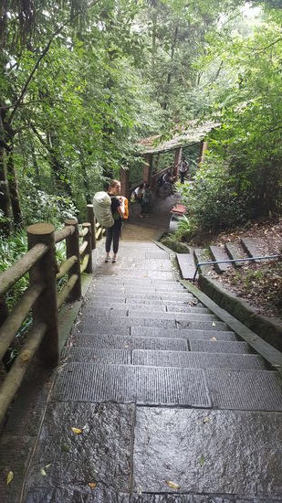 Treppen....Regen....