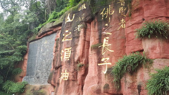 Trotzdem macht sie noch ein paar schöne Bilder....