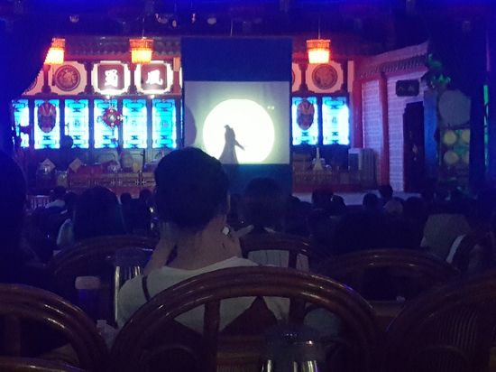 Besonders gut hat uns das Schattentheater gefallen..