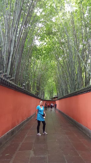 Und eine Bambusallee