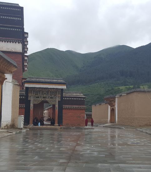 Ich wüßte zu gern, was sie so den ganzen Tag machen und wem sie so schreiben, denn Handys haben sie auch