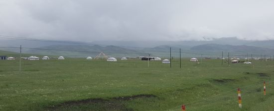 Autos und kleinen Herden von Tieren und im Hintergrund die sattgrünen Hügel...