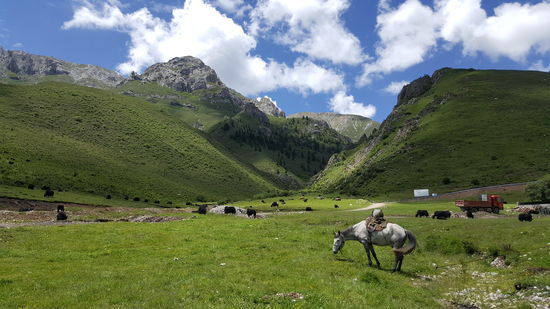 Die Pferde machen Pause und wir auch