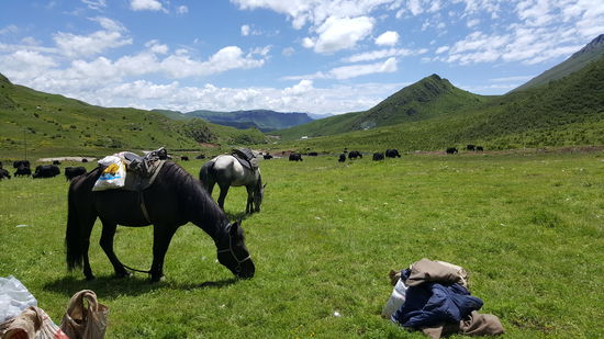 Wir befinden uns jetzt auf 3400m Höhe—Langmusi liegt übrigens auf 3300m Höhe