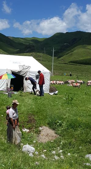 Die Frau hat ein süßes, gutgelauntes Baby