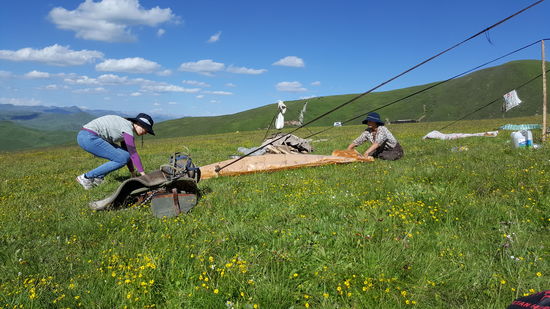 Thalia hilft der jungen Frau eine Plane zusammenzulegen