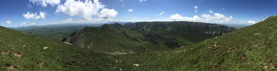 Noch ein Bild vom satten Grün-