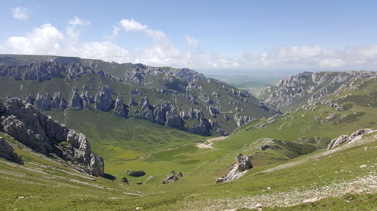 Wie bizarr es aussieht—es gibt auch ganz viel Edelweiß!