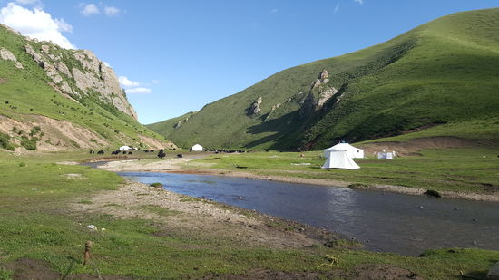Das Gemeckere und Geblöke erfüllt die Luft —ich habe noch nie so viele Schafe und Ziegen auf einem Haufen gesehen. Die ganzen Hügel waren voller weißer Punkte!