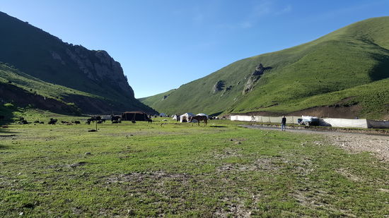 Die Pferde freuen sich am Ziel zu sein—ich mich aber noch mehr!!