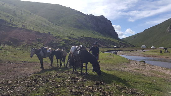 Wir brechen gegen 10 Uhr auf—so richtig freue ich mich nicht auf den Ritt und bin froh, dass wir uns für die Abkürzung der Tour entschieden haben.
Mittags holt uns ein Taxi ab, damit wir noch den letzten Bus um 14 Uhr nach “Haezuo” erreichen.