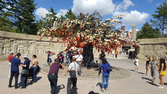 Ein Wunderbaum....und alle sind am Staunen...