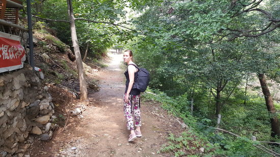 Wir beginnen den Aufstieg...