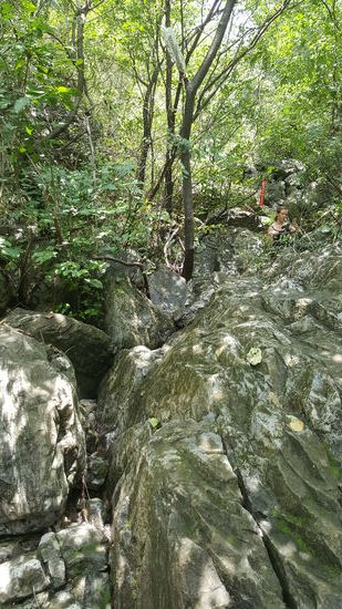 Wir sind ganz allein Hier, aber Müll, leere Plastikflaschen und rote Bänder, die ab und zu an den Bäumen hängen, markieren uns den Weg