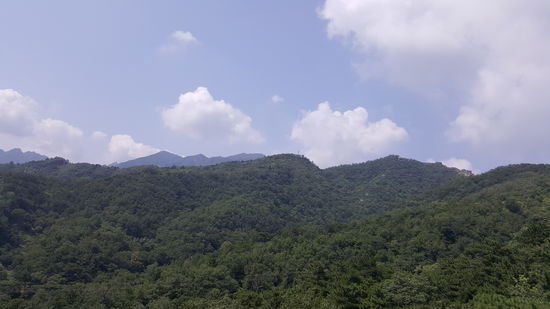 Ein Blick in die Ferne, zur Mauer...